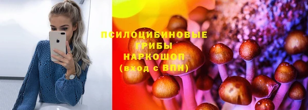 spice Михайлов