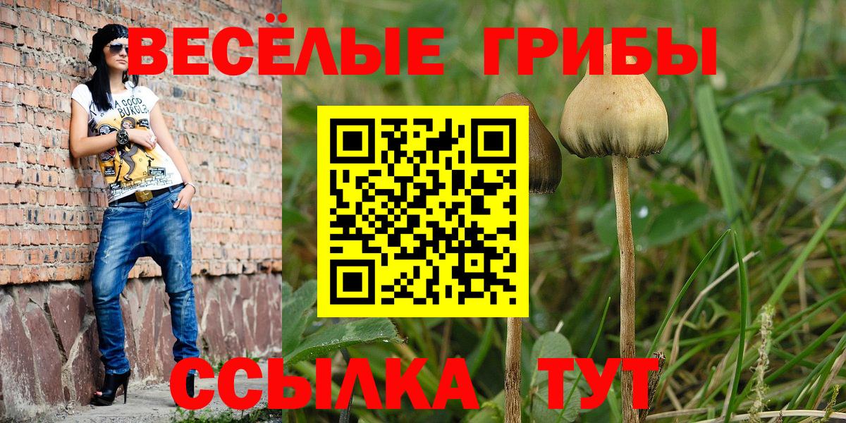 Галлюциногенные грибы Magic Shrooms  Зеленогорск 